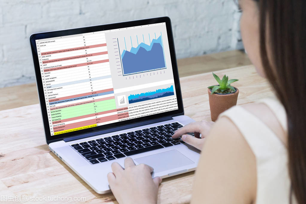 商務(wù)信息技術(shù)人士工作硬數(shù)據(jù)分析與咨詢(xún)